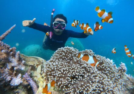 Snorkeling