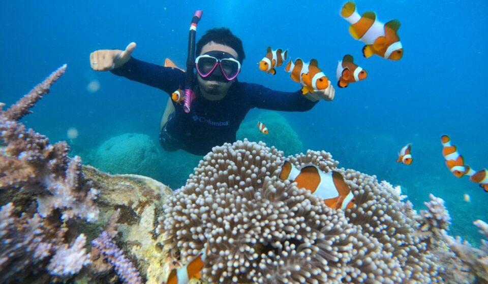 Snorkeling